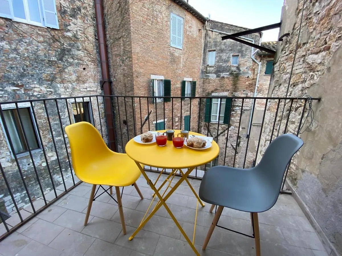 Vannucci 71 Apt Perugia
